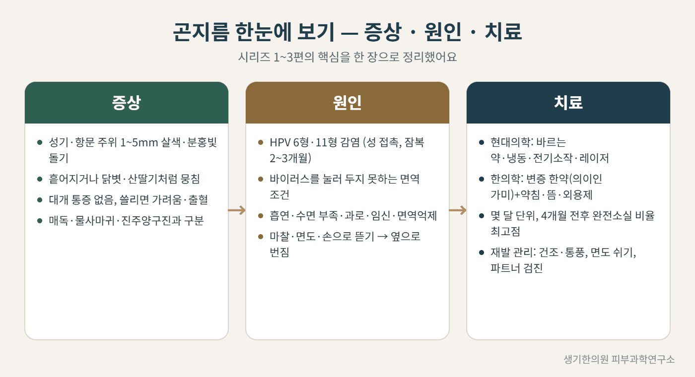 곤지름 증상·원인·치료 한눈에 보기 도해 — 생기한의원 피부과학연구소 제작