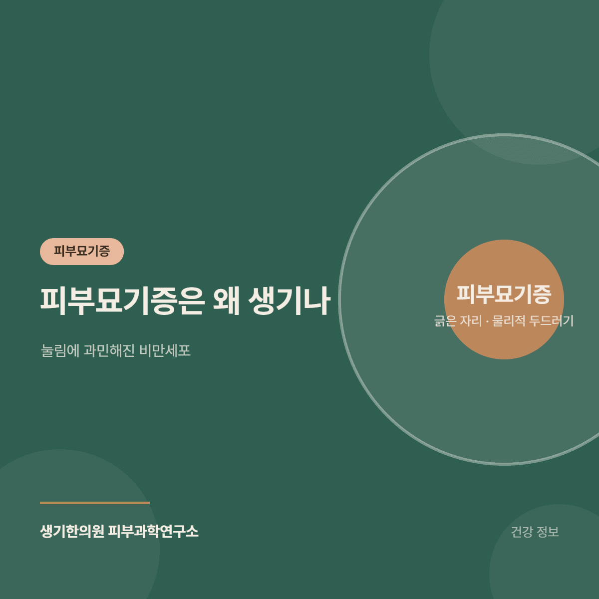 피부묘기증은 왜 생기나 — 눌림에 과민해진 비만세포 대표 이미지