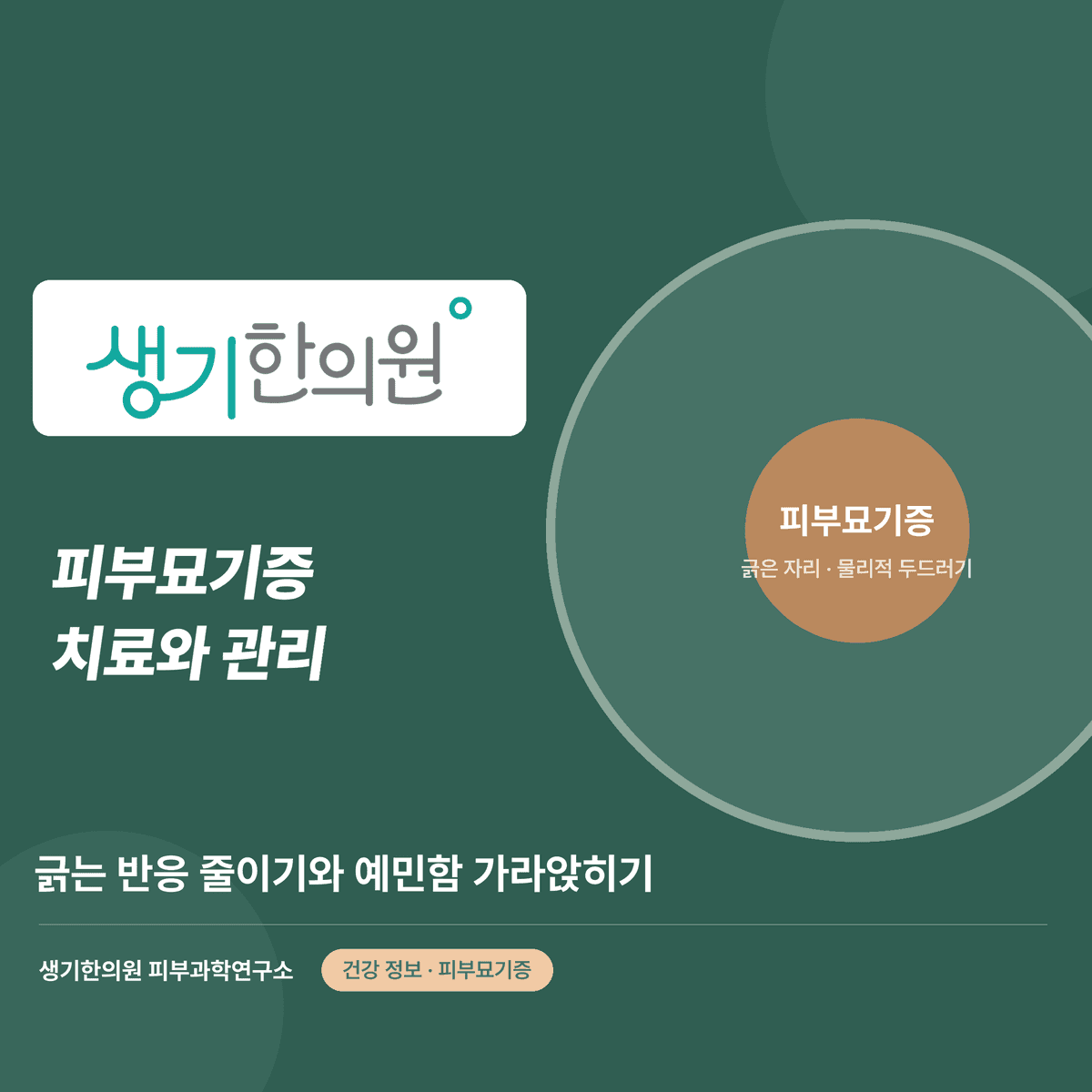 피부묘기증 치료와 관리 — 긁는 반응 줄이기와 예민함 가라앉히기 대표 이미지