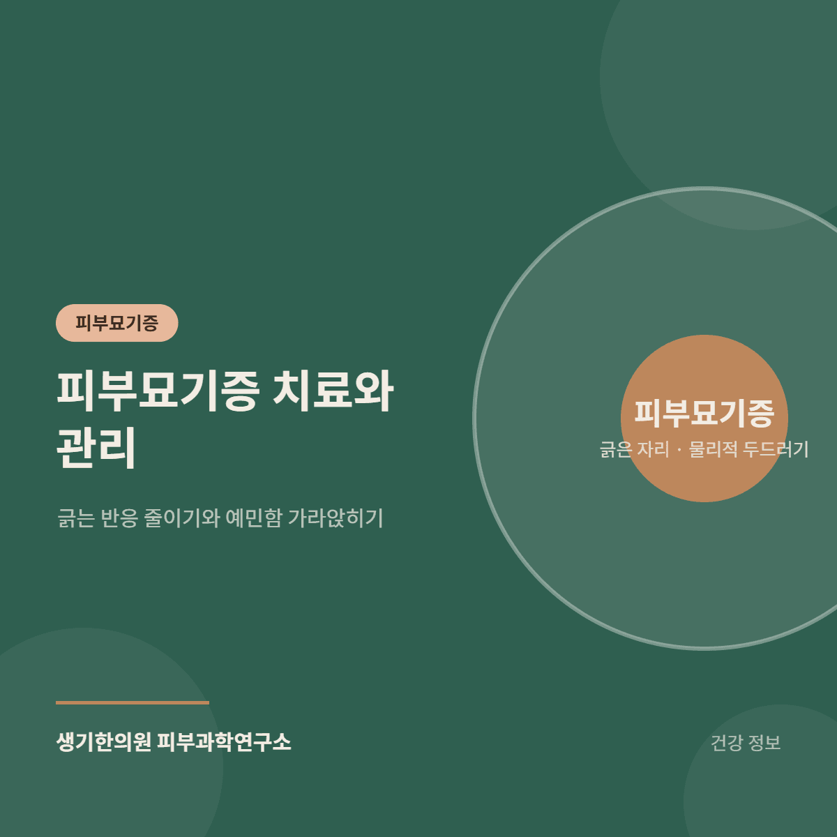 피부묘기증 치료와 관리 — 긁는 반응 줄이기와 예민함 가라앉히기 대표 이미지