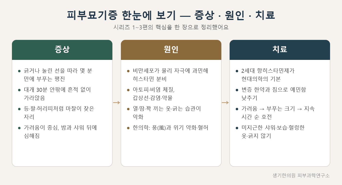피부묘기증 증상·원인·치료 한눈에 보기 도해 — 생기한의원 피부과학연구소 제작