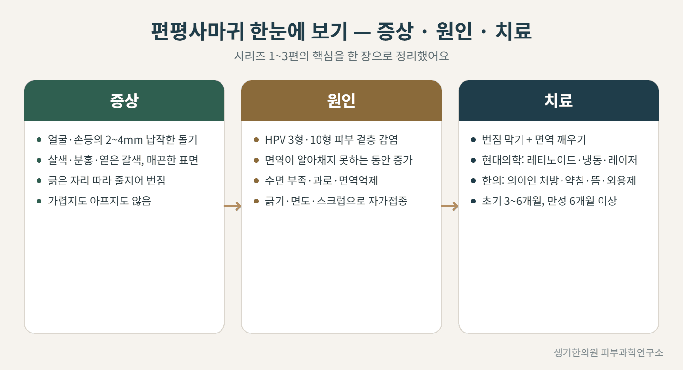 편평사마귀 증상·원인·치료 한눈에 보기 도해 — 생기한의원 피부과학연구소 제작