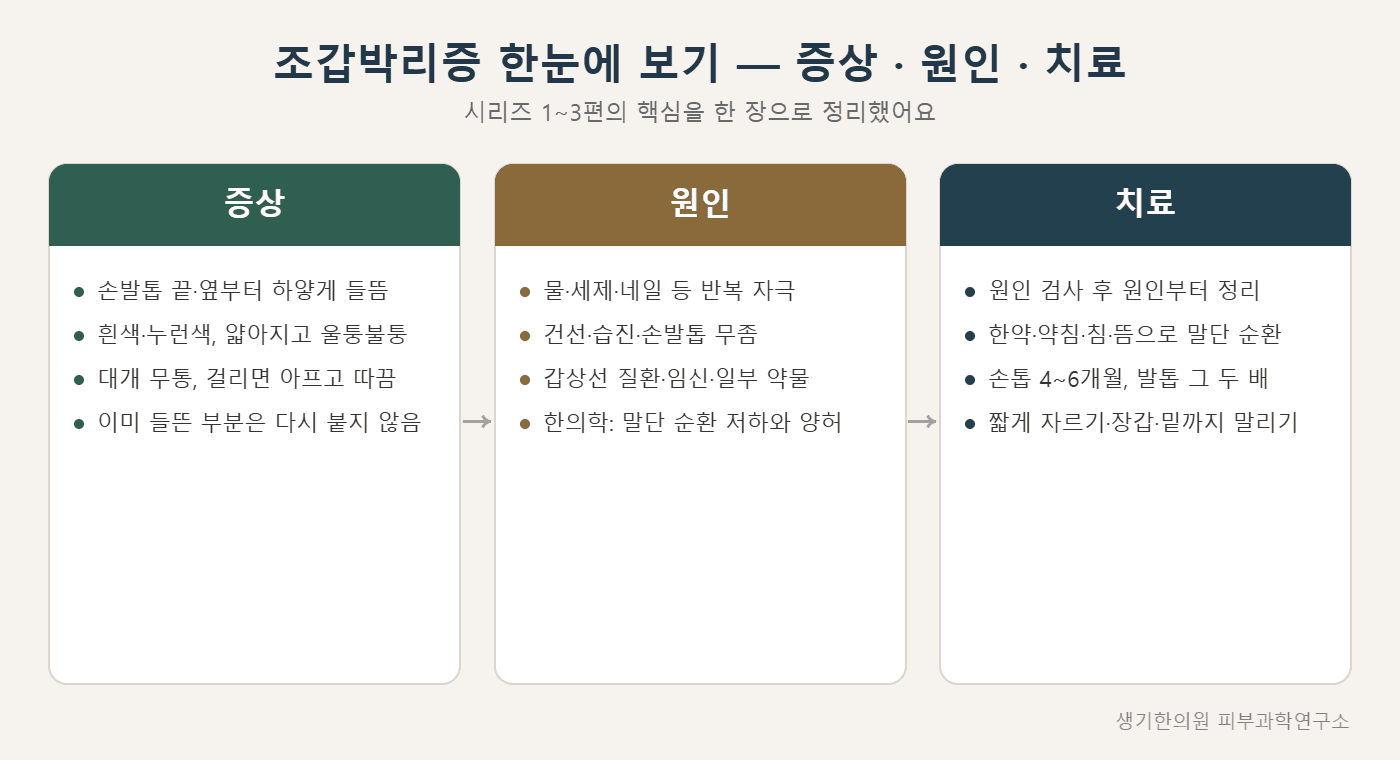 조갑박리증 증상·원인·치료 한눈에 보기 도해 — 생기한의원 피부과학연구소 제작