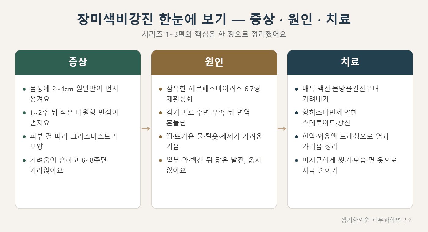 장미색비강진 증상·원인·치료 한눈에 보기 도해 — 생기한의원 피부과학연구소 제작