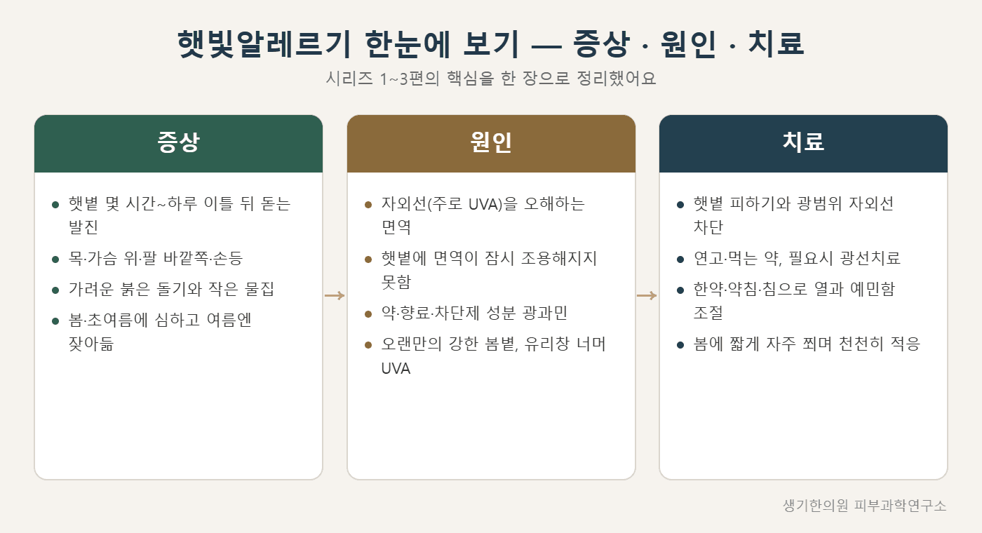 햇빛알레르기 증상·원인·치료 한눈에 보기 도해 — 생기한의원 피부과학연구소 제작