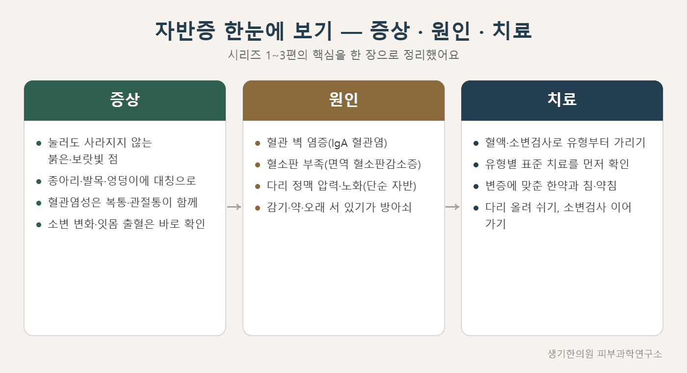 자반증 증상·원인·치료 한눈에 보기 도해 — 생기한의원 피부과학연구소 제작