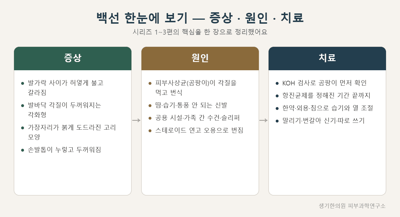백선 증상·원인·치료 한눈에 보기 도해 — 생기한의원 피부과학연구소 제작