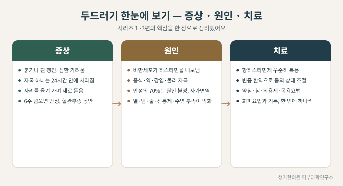 두드러기 증상·원인·치료 한눈에 보기 도해 — 생기한의원 피부과학연구소 제작