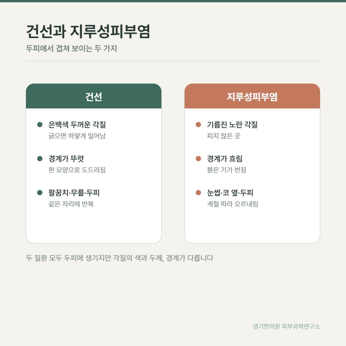 건선 감별 비교 안내 그림