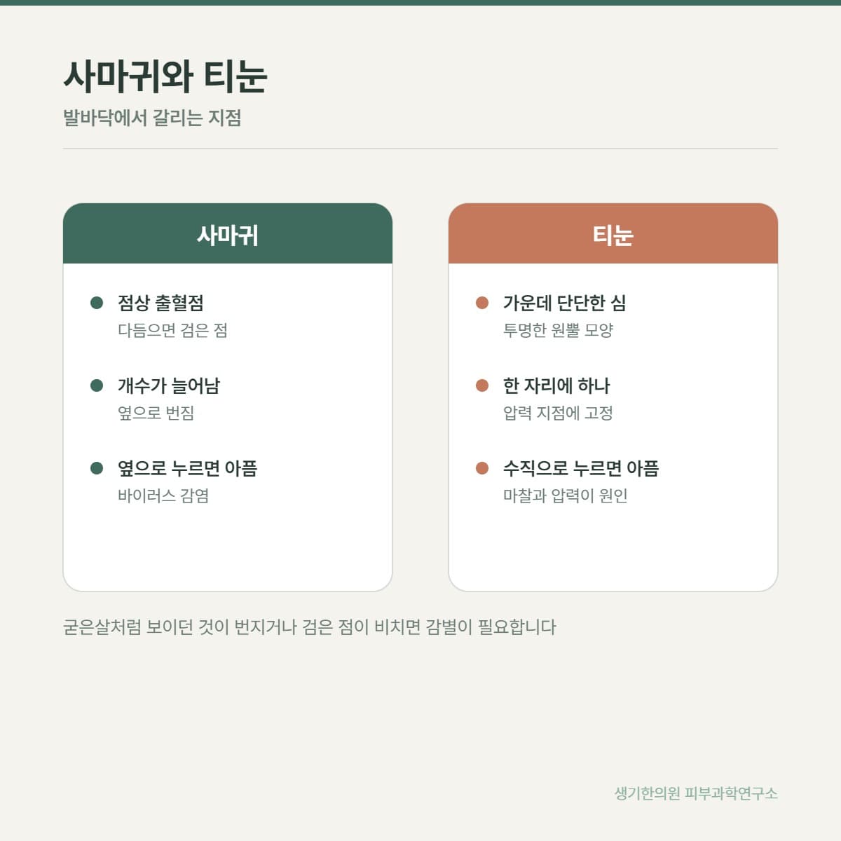 사마귀 감별 비교 안내 그림