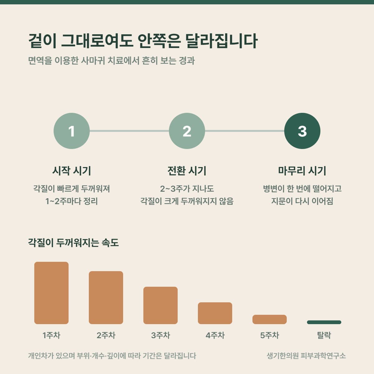 면역을 이용한 사마귀 치료에서 각질이 두꺼워지는 속도가 줄어드는 경과 안내 그림