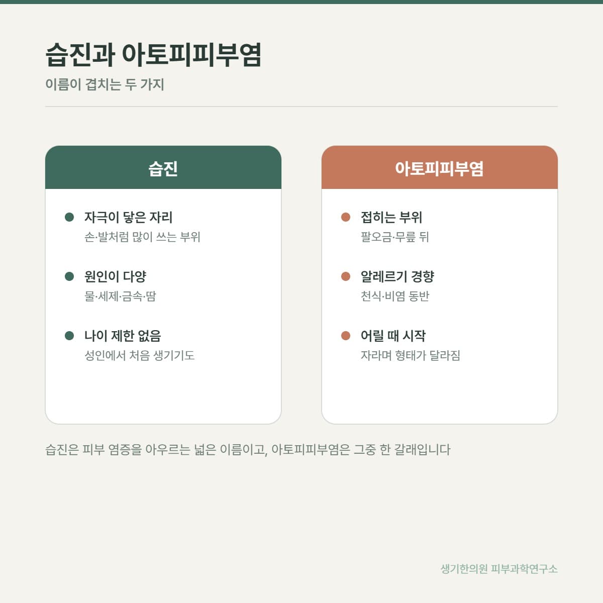 습진 감별 비교 안내 그림